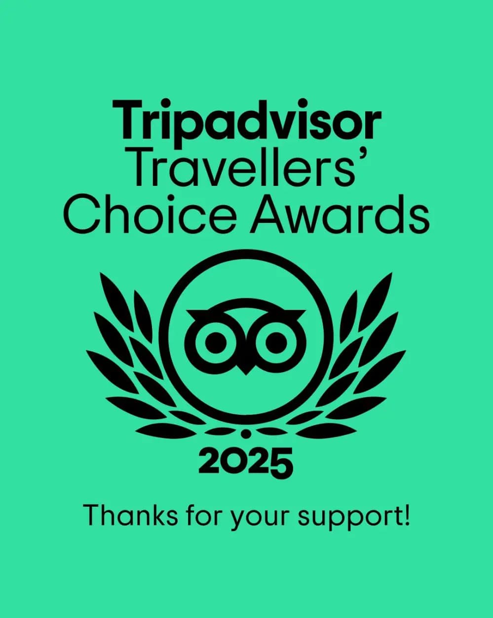 TripAdvisor Travellers' Choice 2025