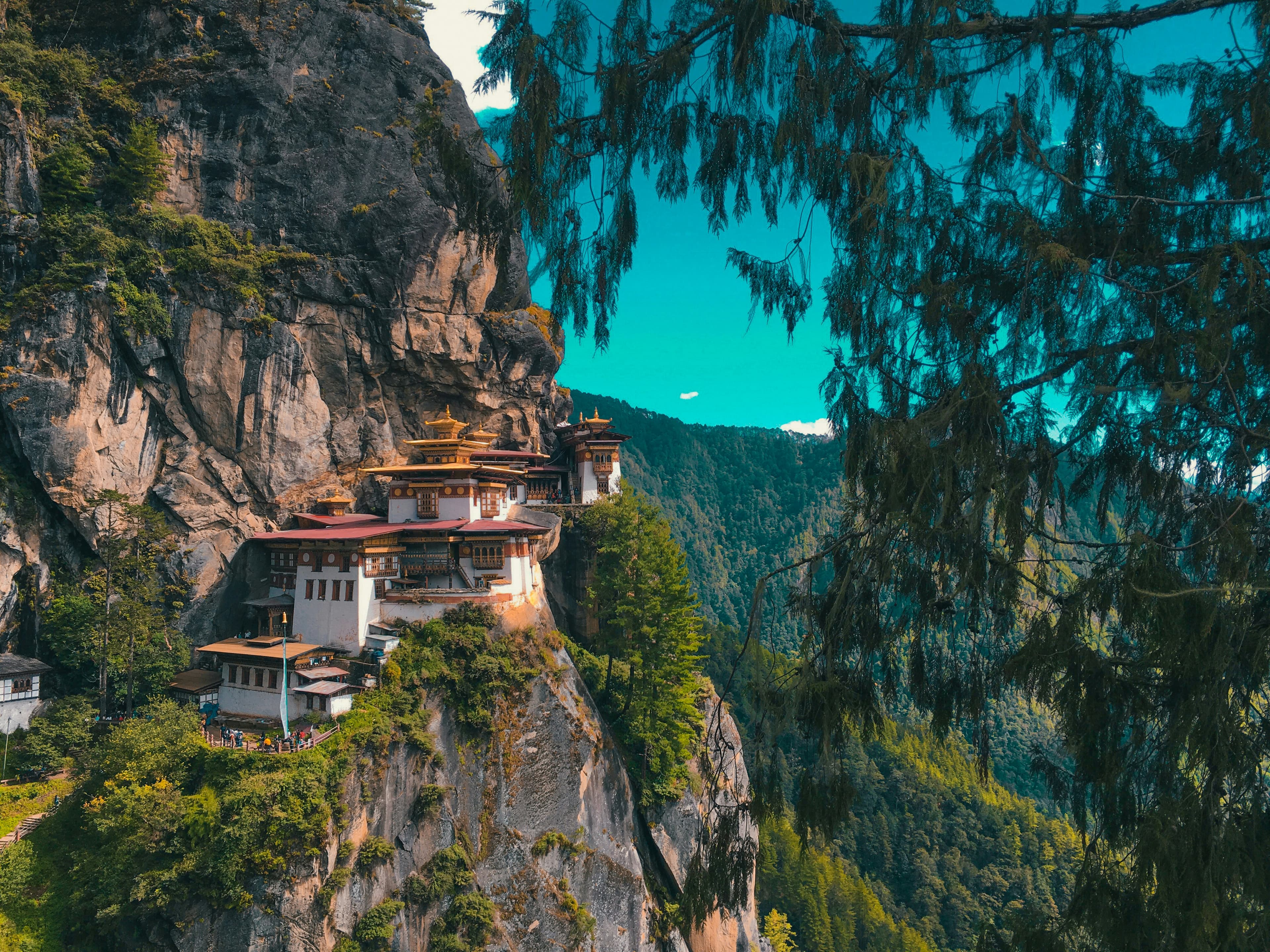 priyangshu-sv-zhVN71I8888-unsplash