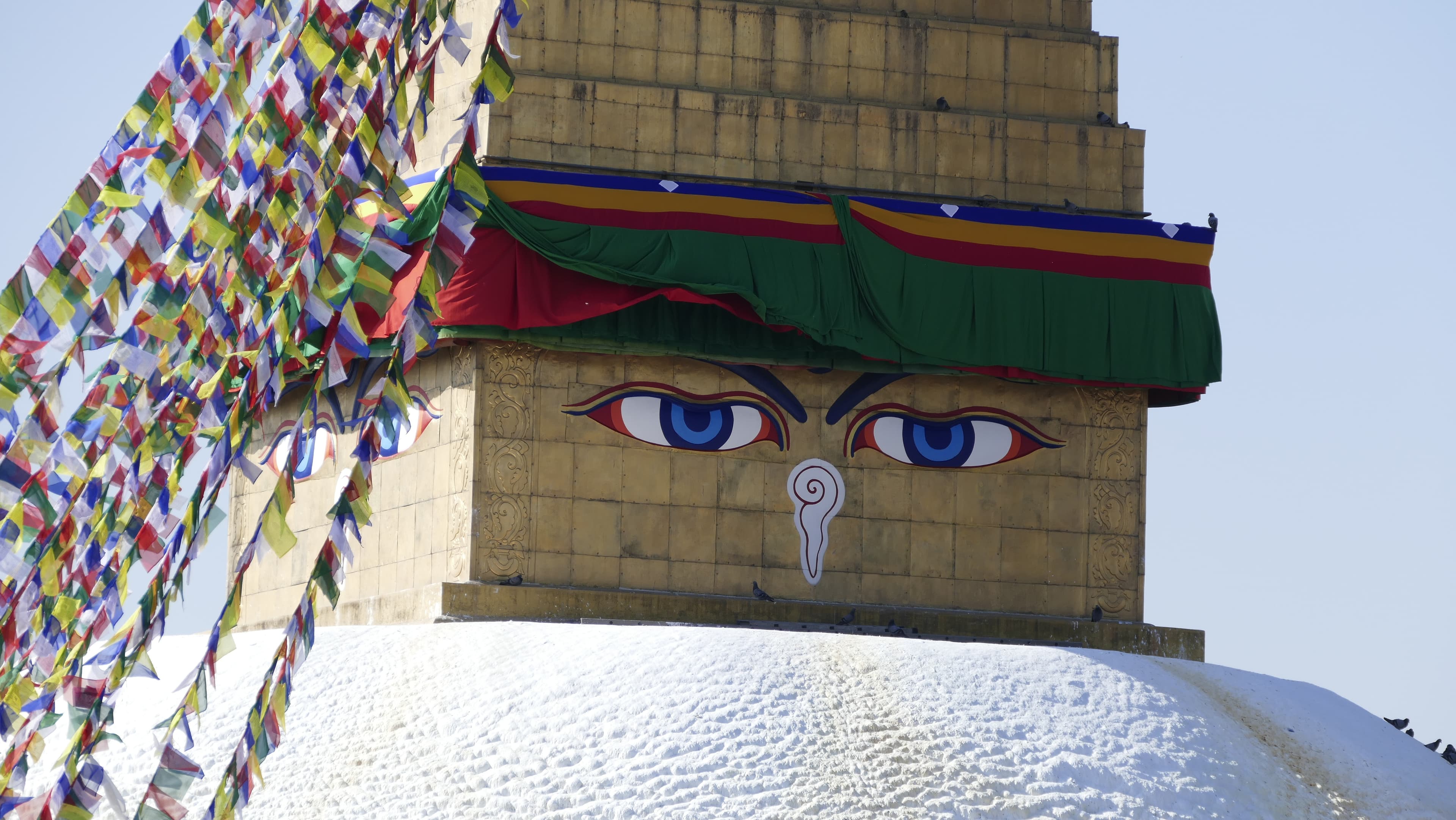 Buddha Eye