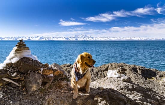 Lhasa Namtso Lake Trek