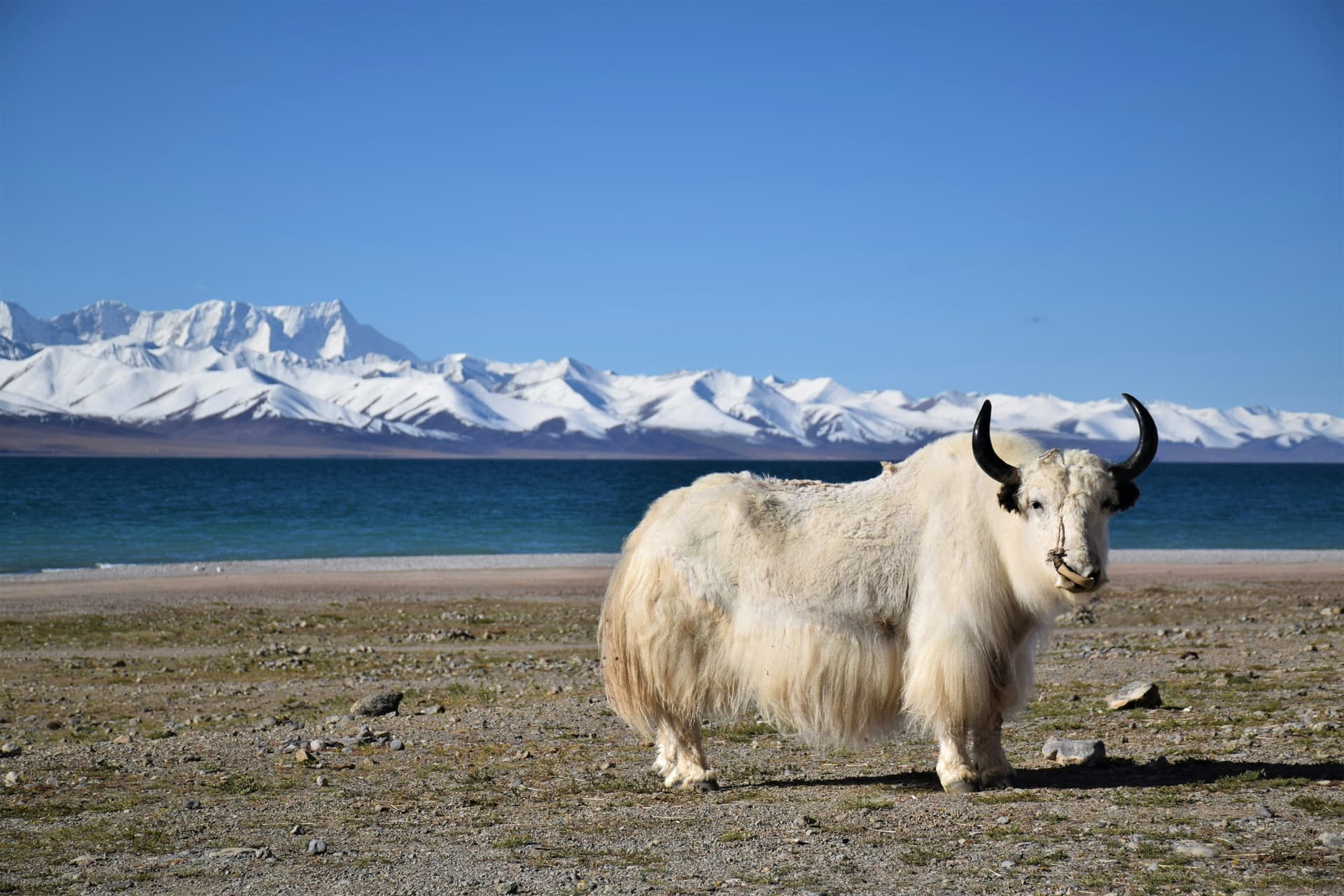 Namtso Lake